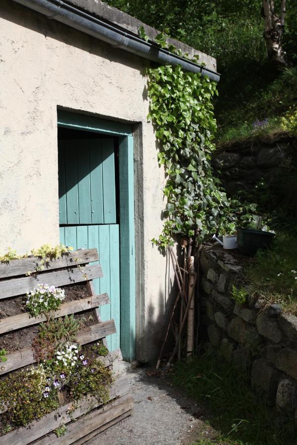Gite La Grange Au Bois Viella エクステリア 写真